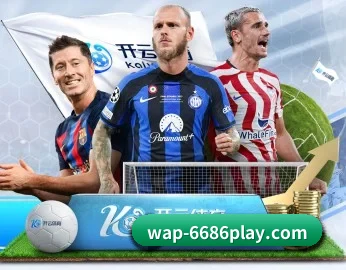 6686体育 APP